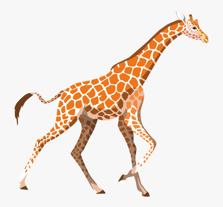 Detail Giraffe Png Clipart Nomer 35