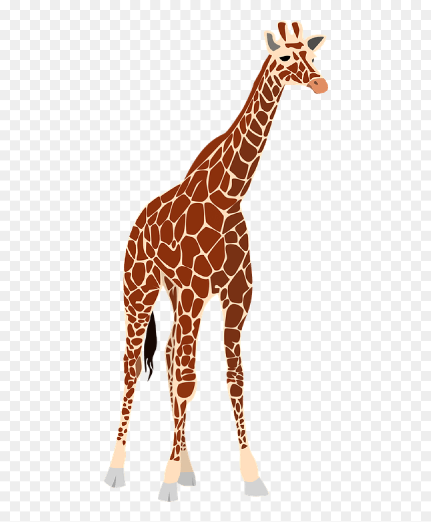 Detail Giraffe Png Clipart Nomer 52