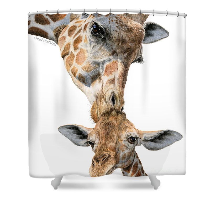 Detail Giraffe Shower Curtains Nomer 10