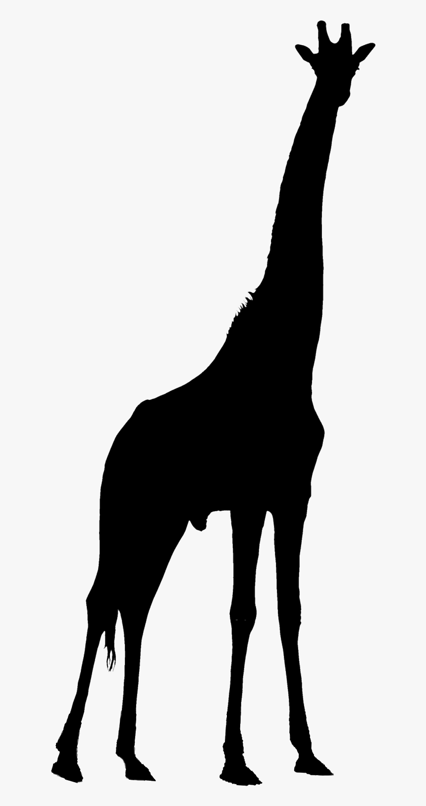 Giraffe Silhouette Png - KibrisPDR