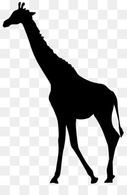 Detail Giraffe Silhouette Png Nomer 2