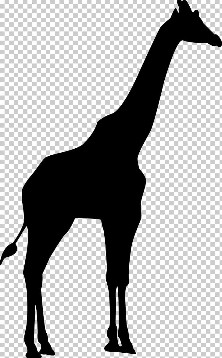 Detail Giraffe Silhouette Png Nomer 12