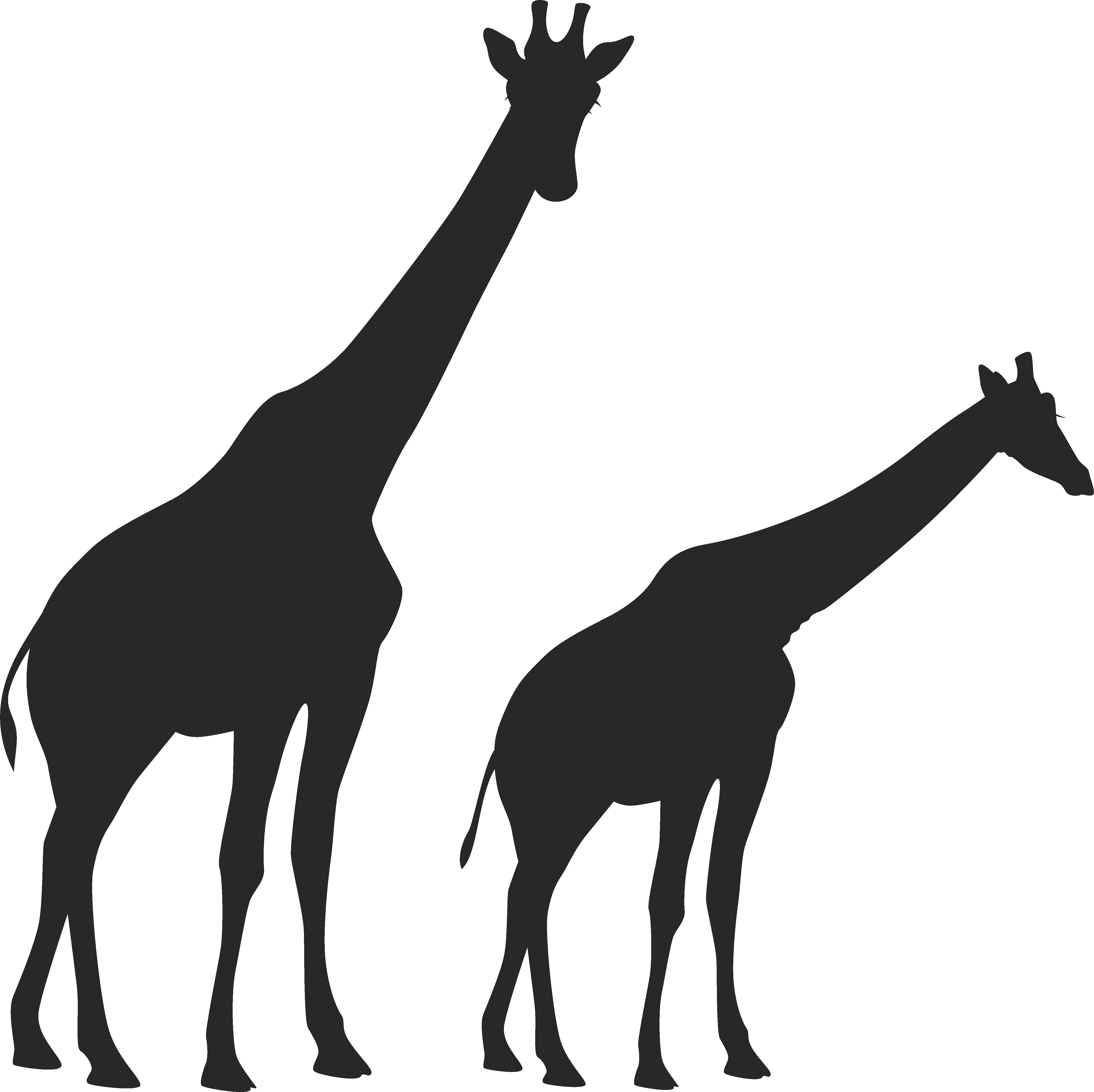 Detail Giraffe Silhouette Png Nomer 25