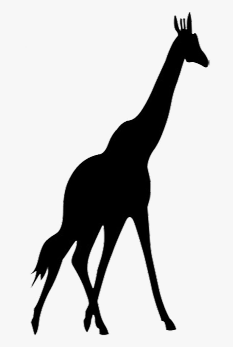 Detail Giraffe Silhouette Png Nomer 4