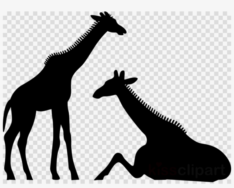 Detail Giraffe Silhouette Png Nomer 28