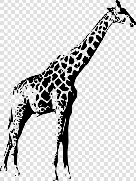 Detail Giraffe Silhouette Png Nomer 41