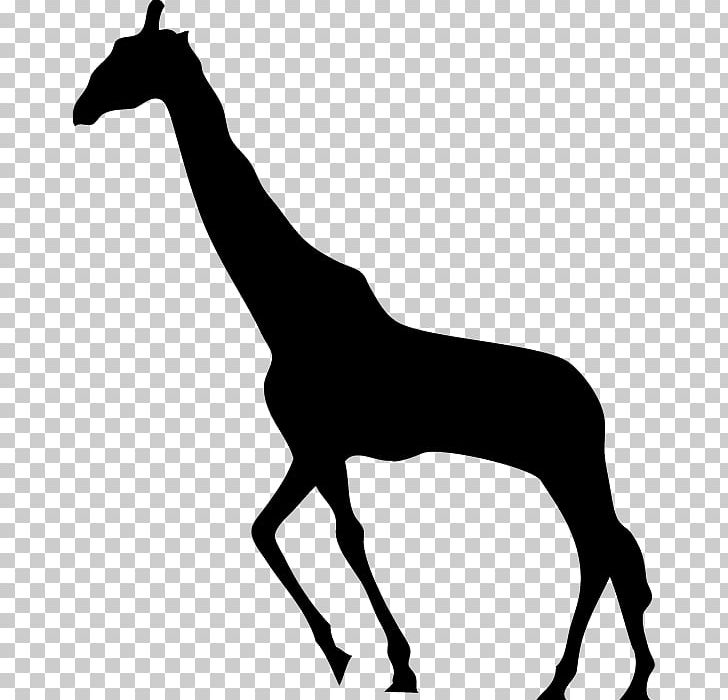 Detail Giraffe Silhouette Png Nomer 45