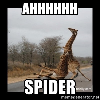 Detail Giraffe Spider Meme Nomer 6