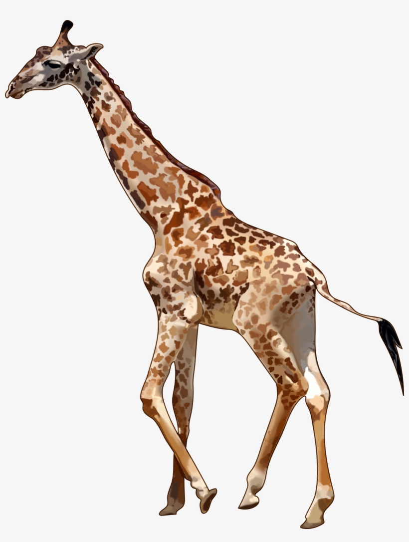 Detail Giraffe Transparent Nomer 19