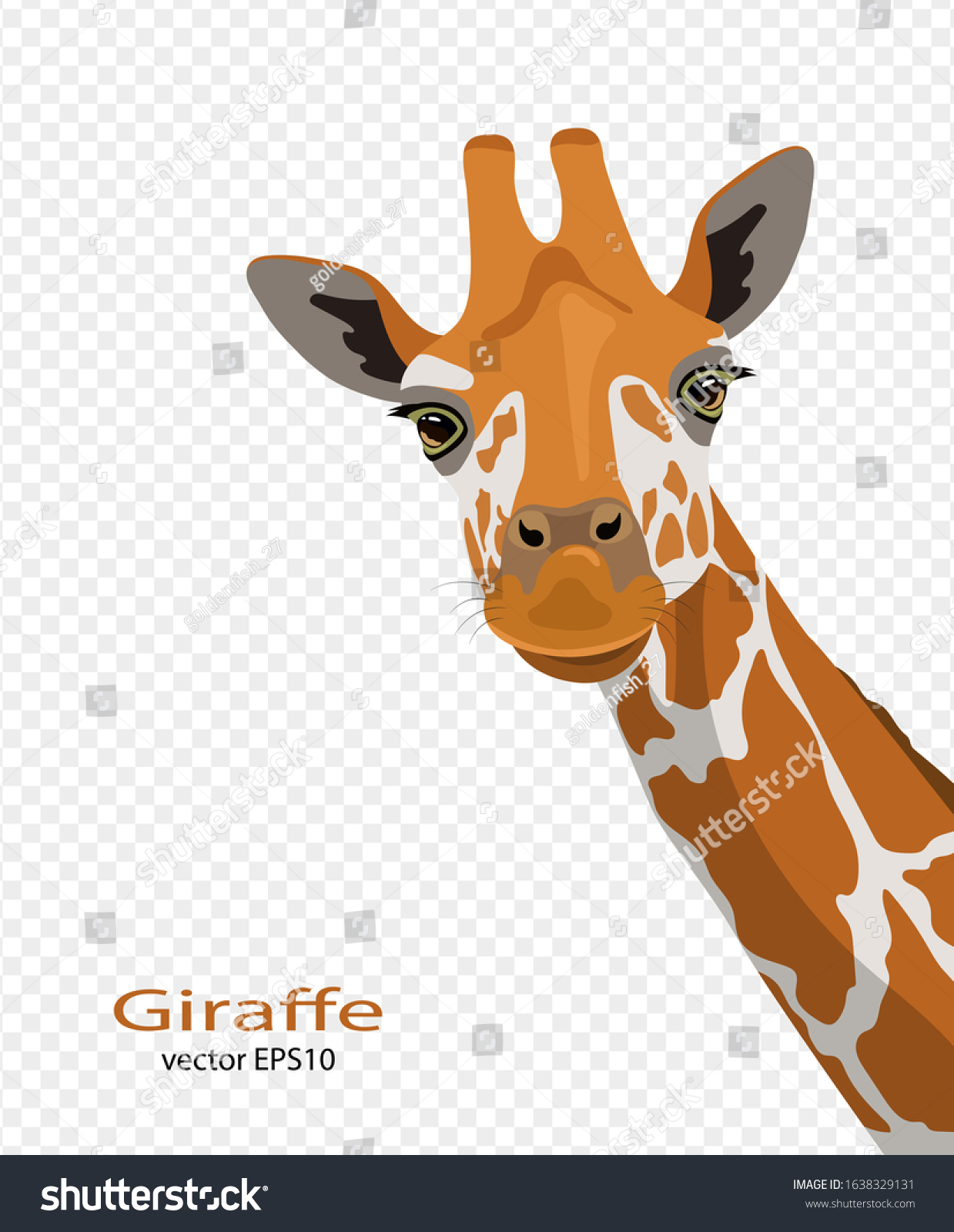 Detail Giraffe Transparent Nomer 31
