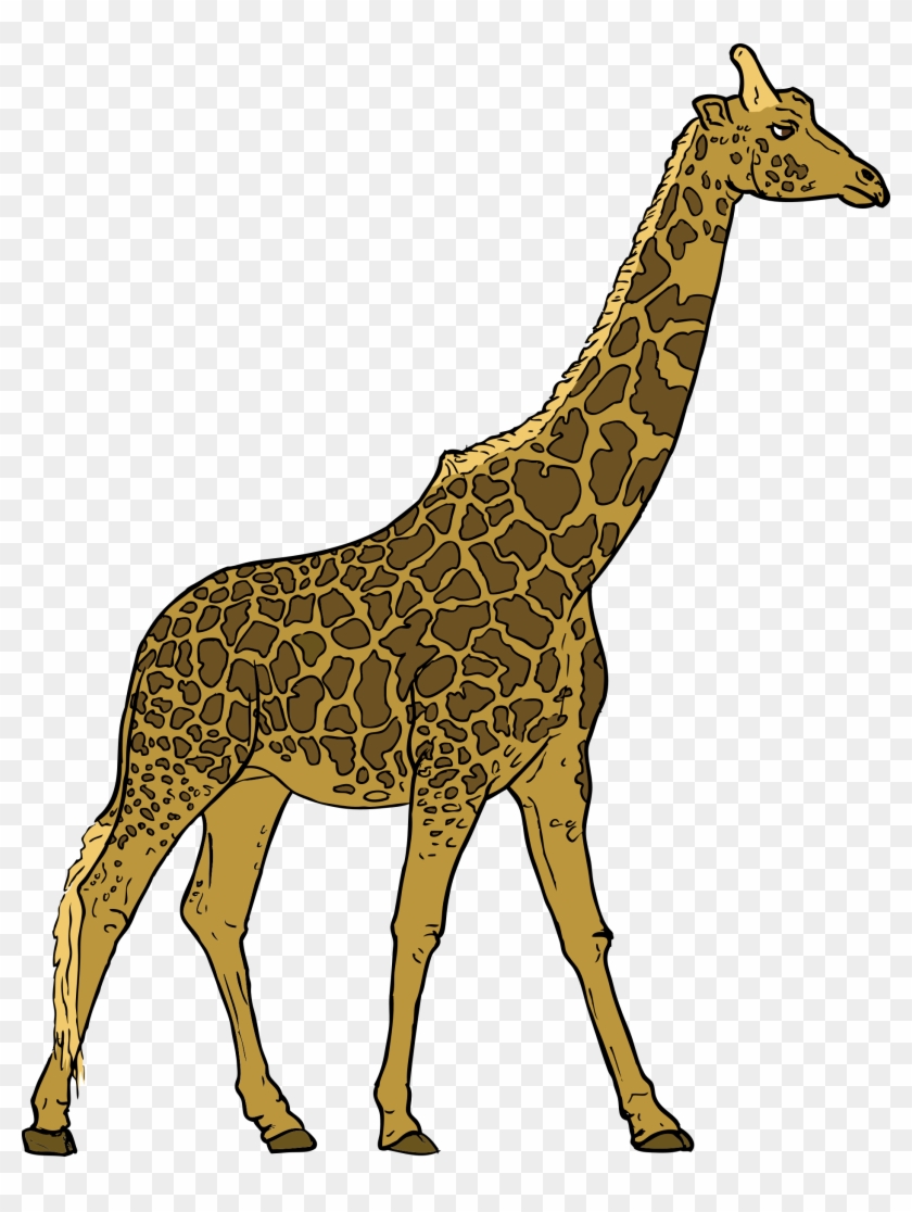 Detail Giraffe Transparent Nomer 42