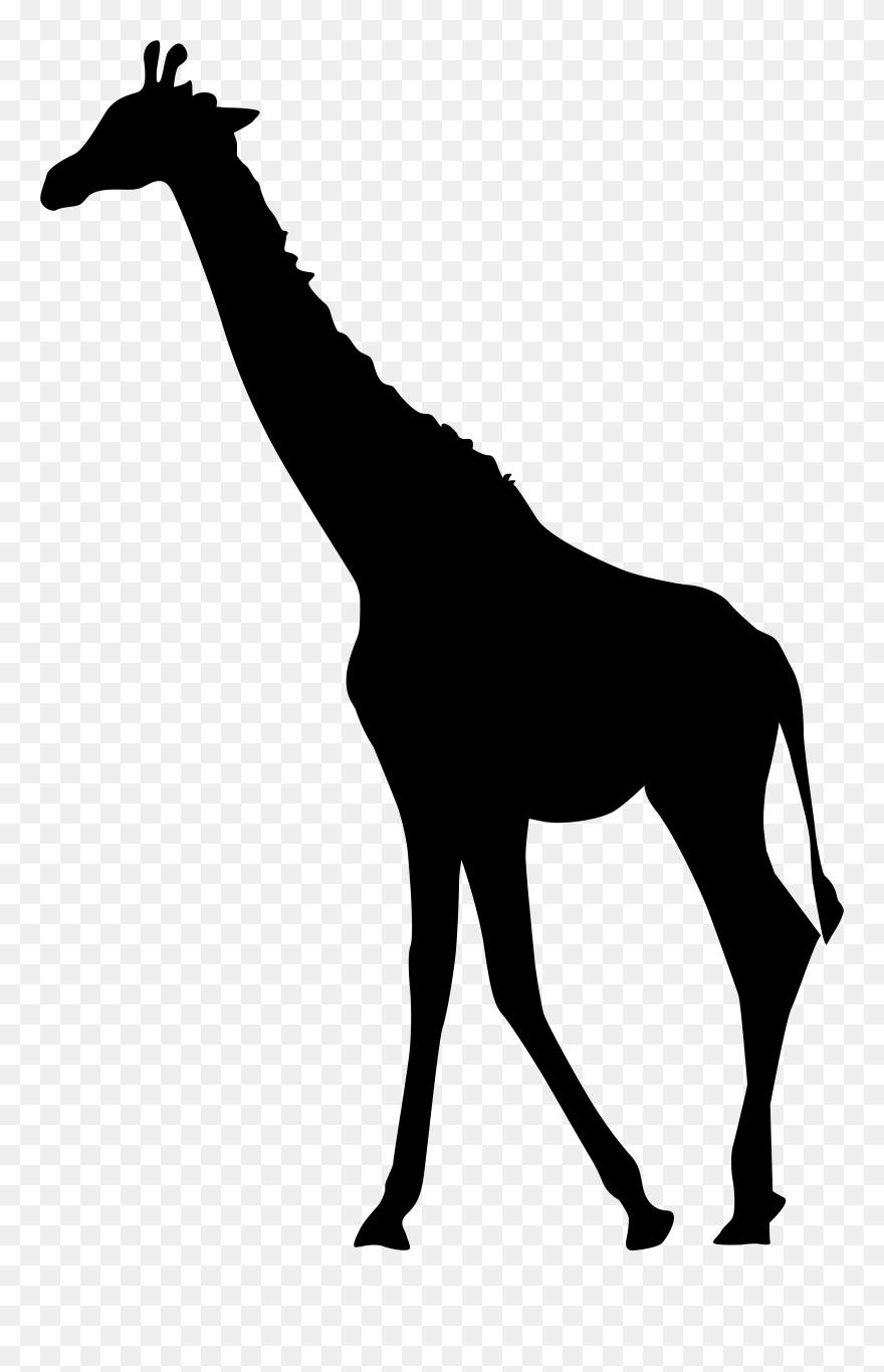 Detail Giraffe Transparent Nomer 53