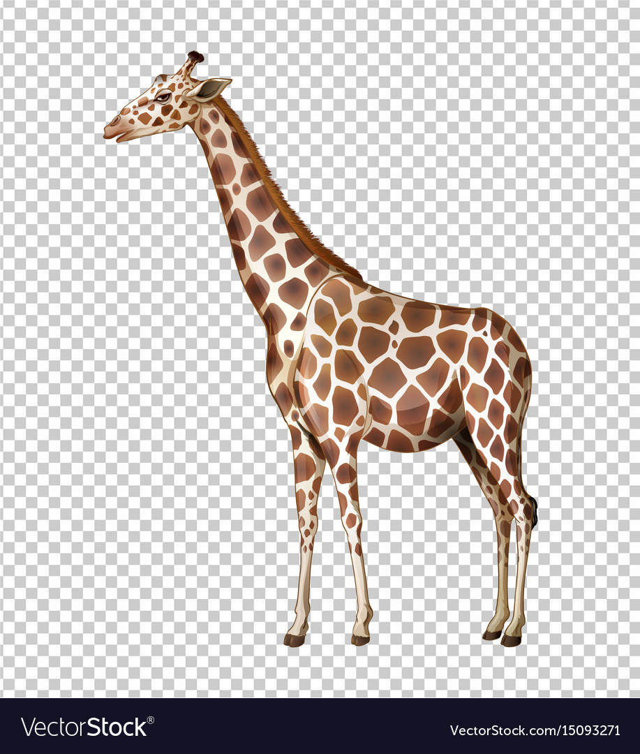 Detail Giraffe Transparent Background Nomer 3