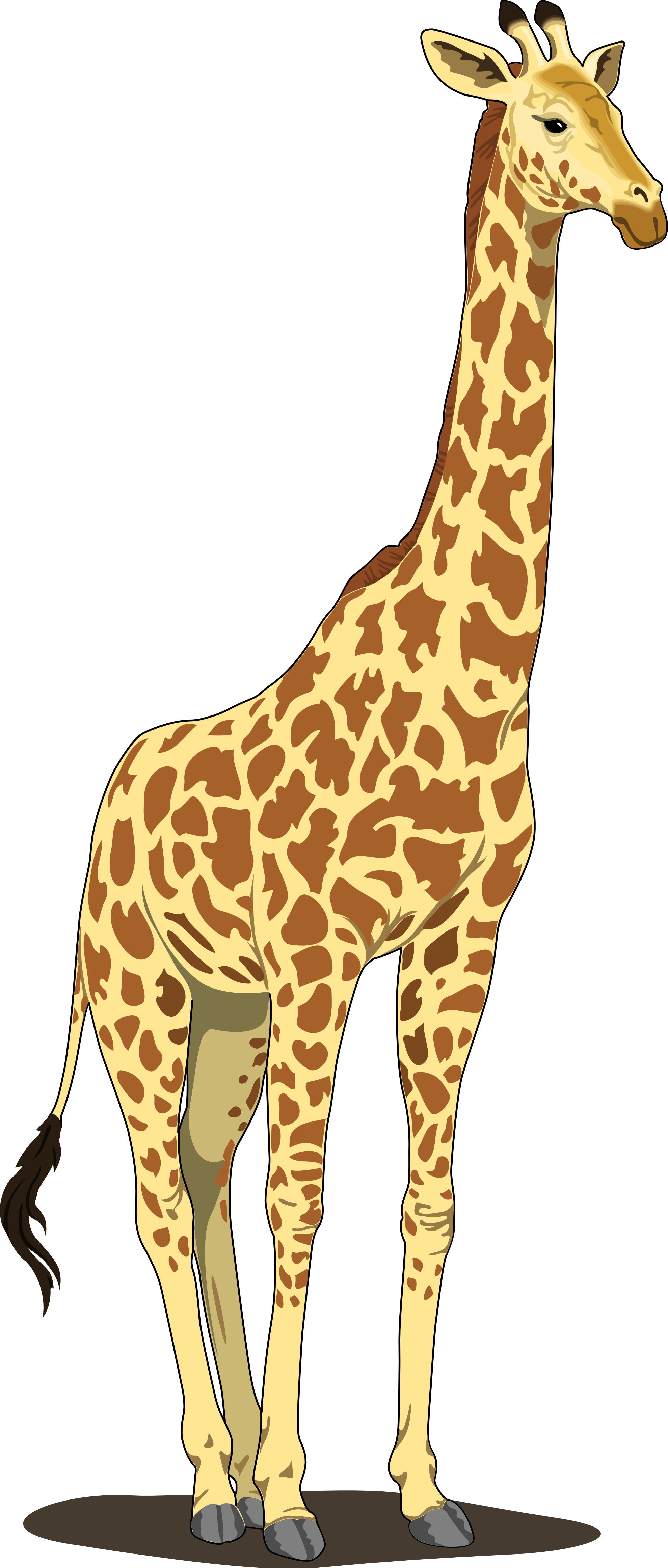 Detail Giraffe Transparent Background Nomer 40