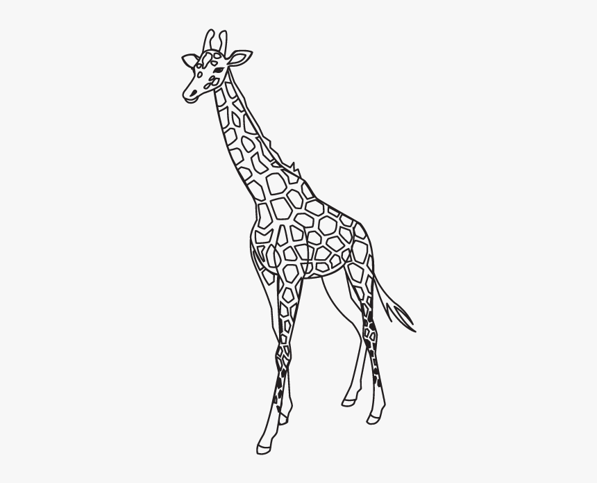 Detail Giraffe Transparent Background Nomer 41