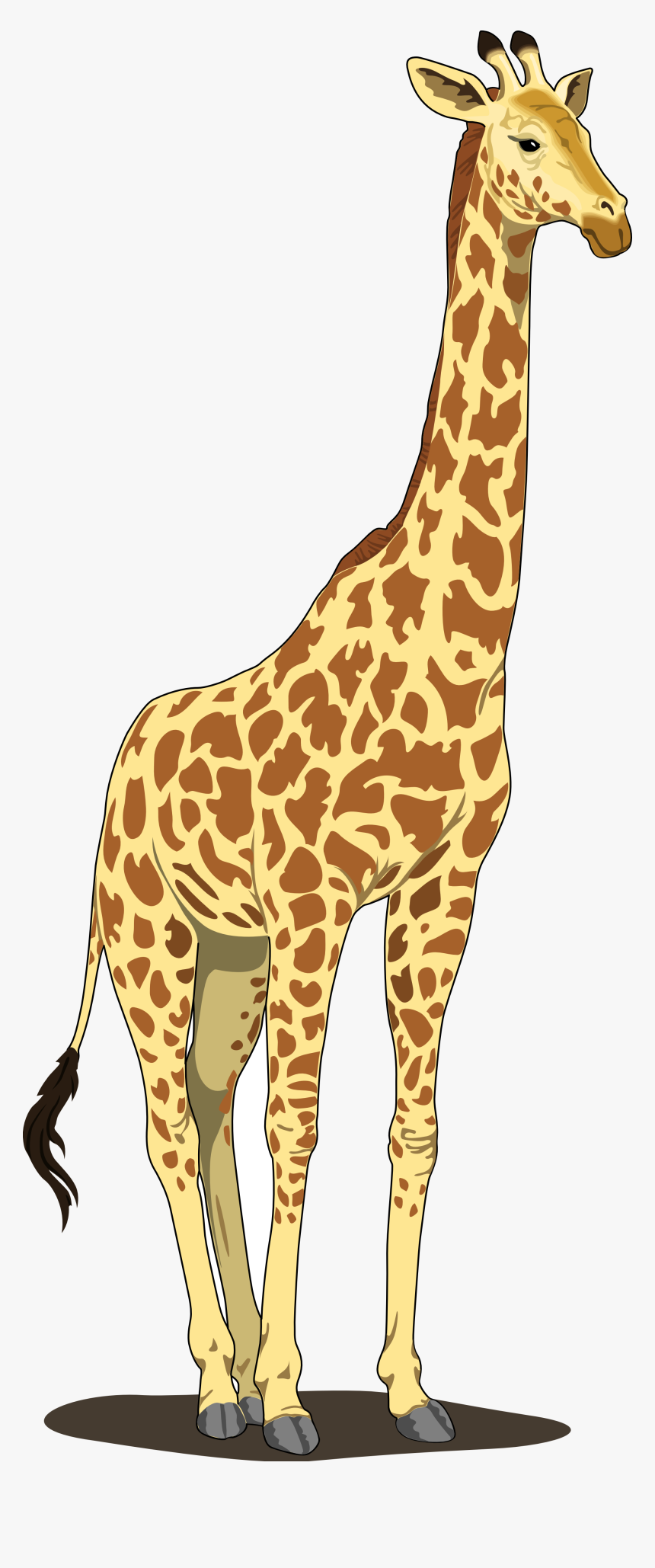 Detail Giraffe Transparent Background Nomer 43