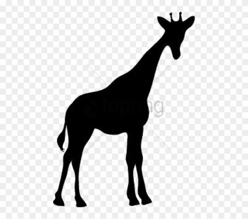 Detail Giraffe Transparent Background Nomer 50