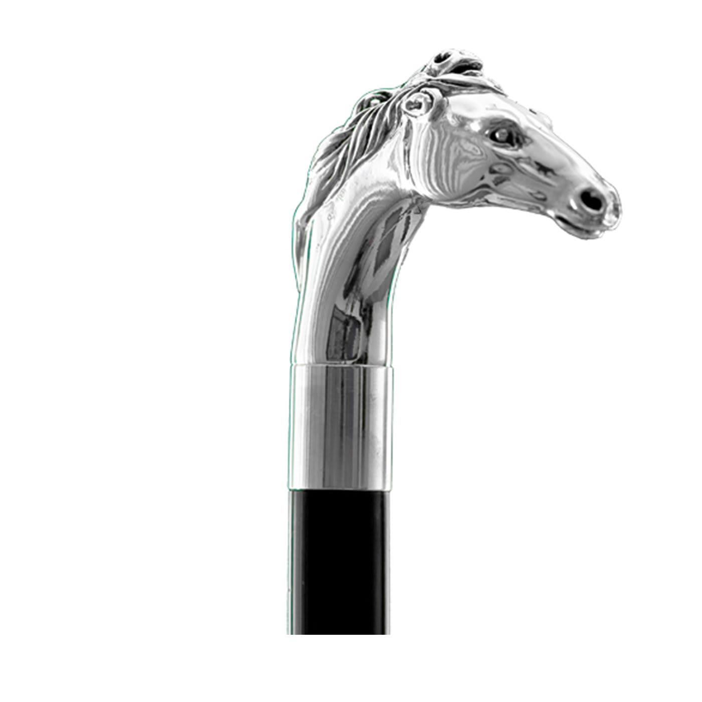 Detail Giraffe Walking Stick Nomer 42