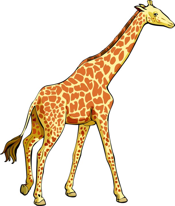 Detail Girraffe Clipart Nomer 12