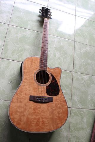 Detail Gitar Akustik Fender Nomer 23