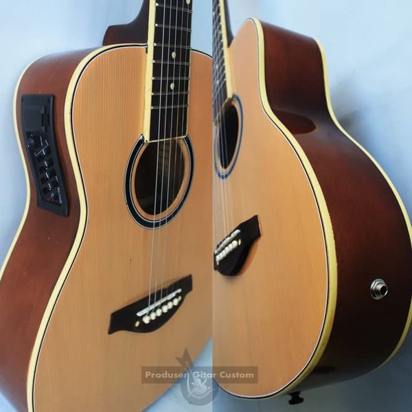 Detail Gitar Akustik Listrik Nomer 30