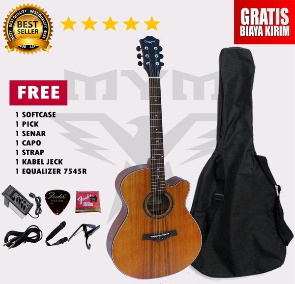 Detail Gitar Akustik Listrik Nomer 41