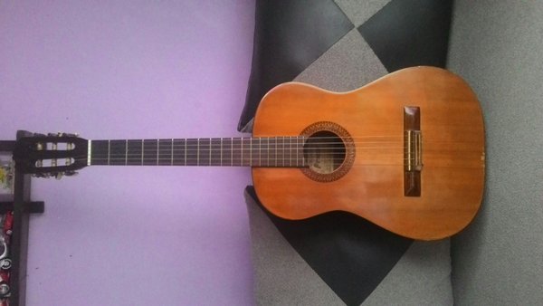 Detail Gitar Akustik Prince Nomer 31