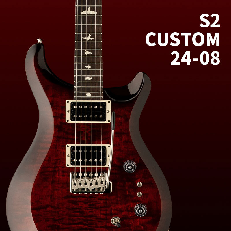 Detail Gitar Prs Custom Nomer 10