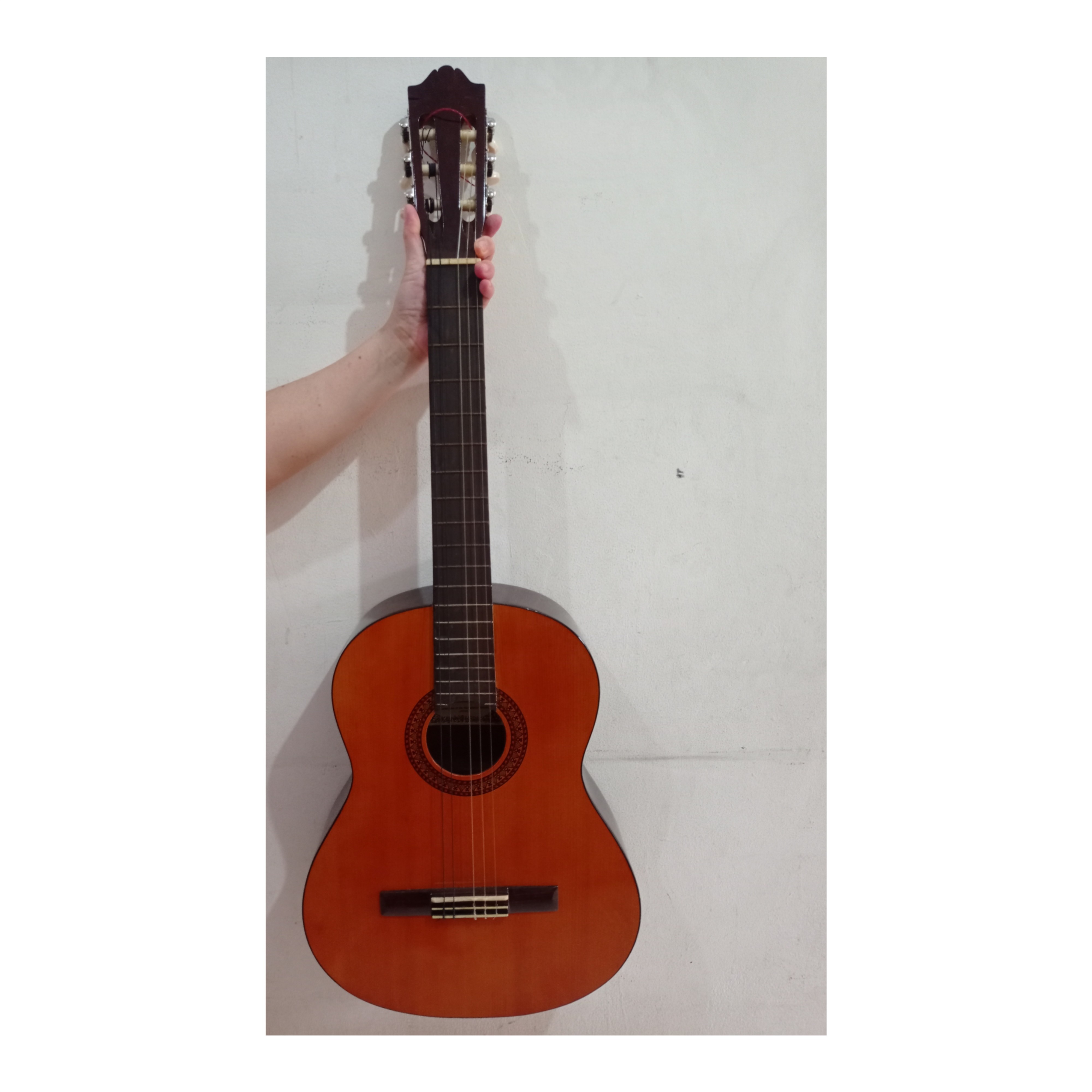 Detail Gitar Sakura Nomer 12