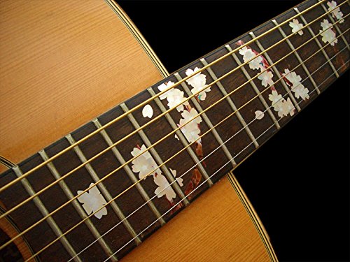 Detail Gitar Sakura Nomer 40