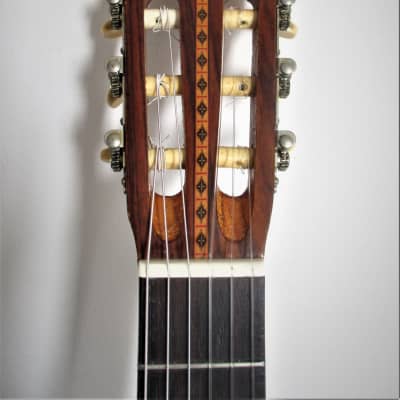 Detail Gitar Sakura Nomer 46