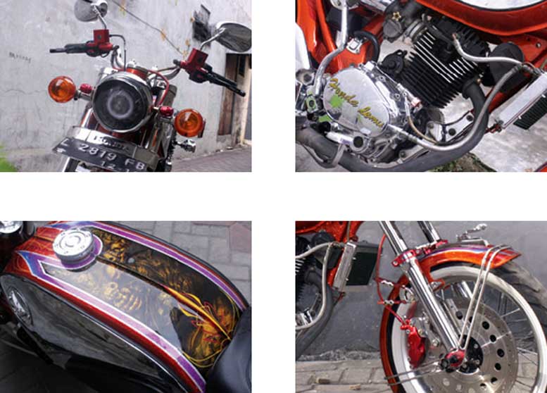 Detail Glitter Cat Motor Nomer 46