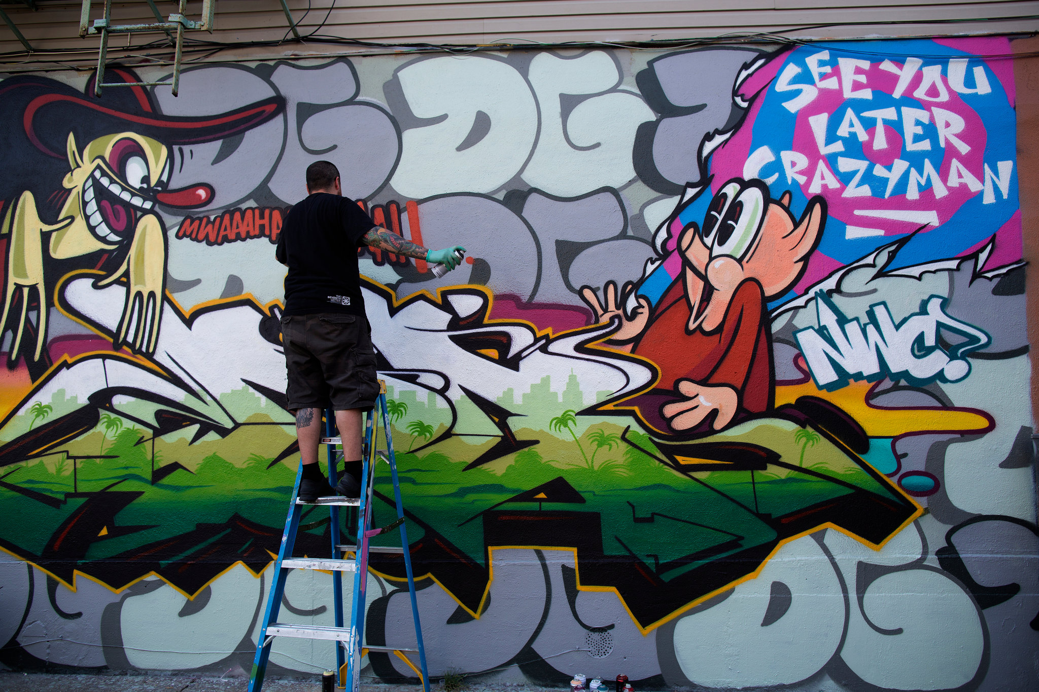 Detail A Graffiti Artist Nomer 44