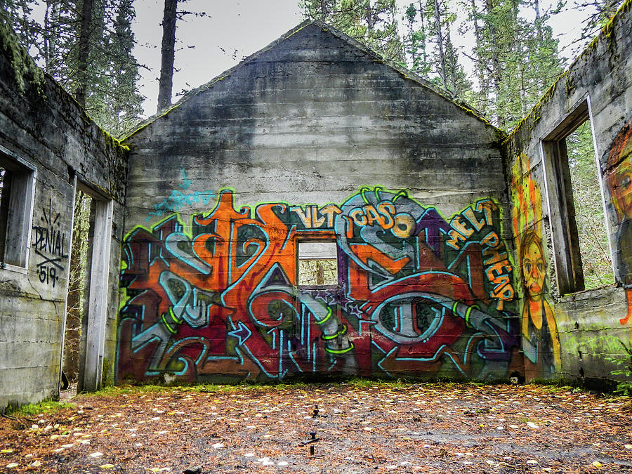 Detail Abandoned Graffiti Nomer 15