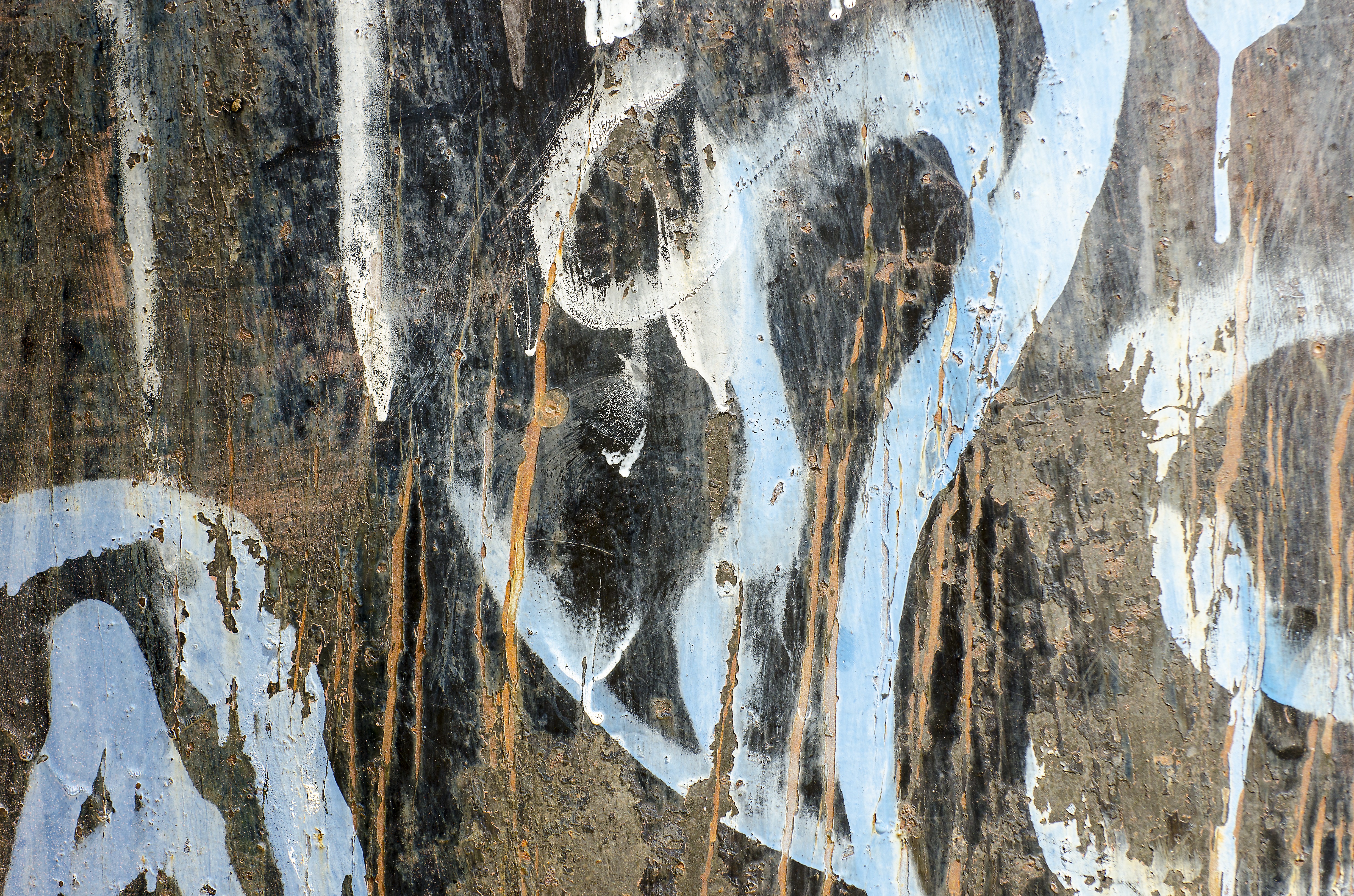 Detail Baground Pohon Graffiti Nomer 15
