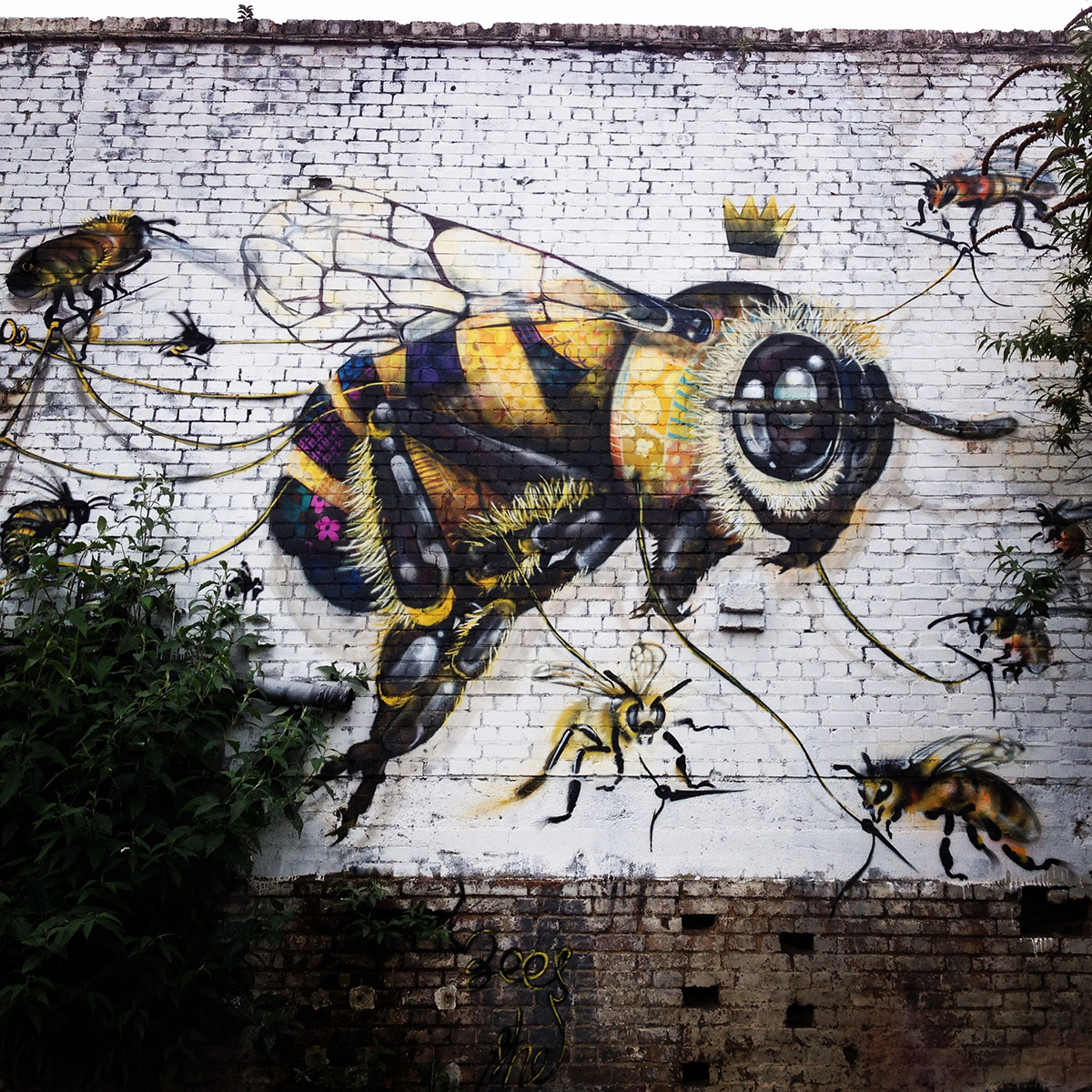 Bee Graffiti - KibrisPDR