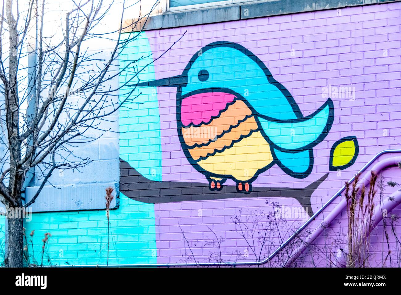 Detail Bird Graffiti Nomer 13