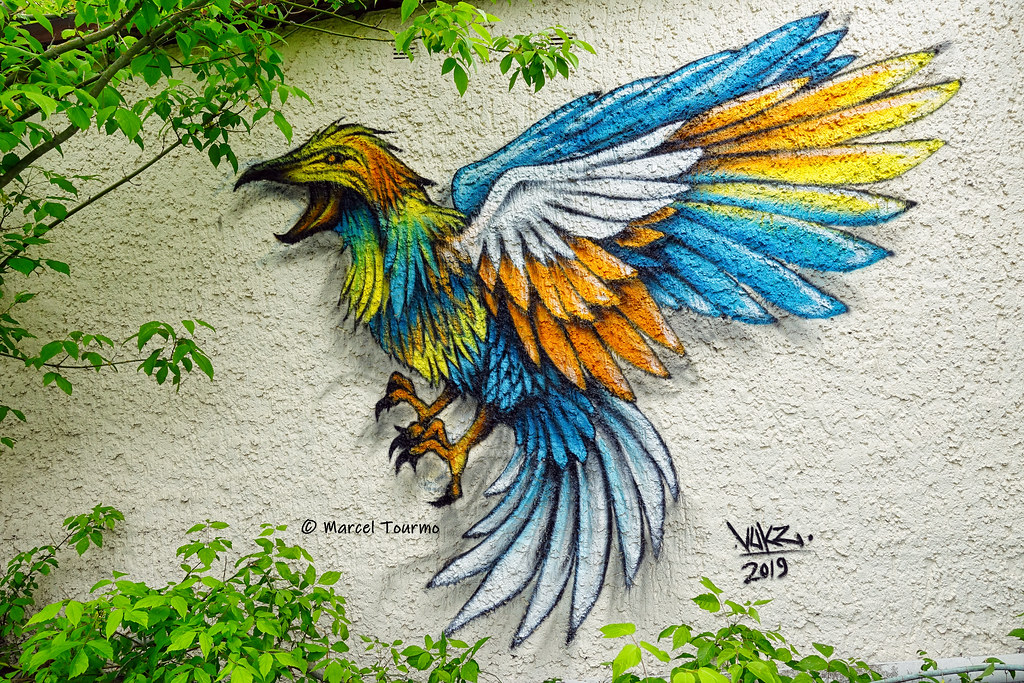 Detail Bird Graffiti Nomer 14