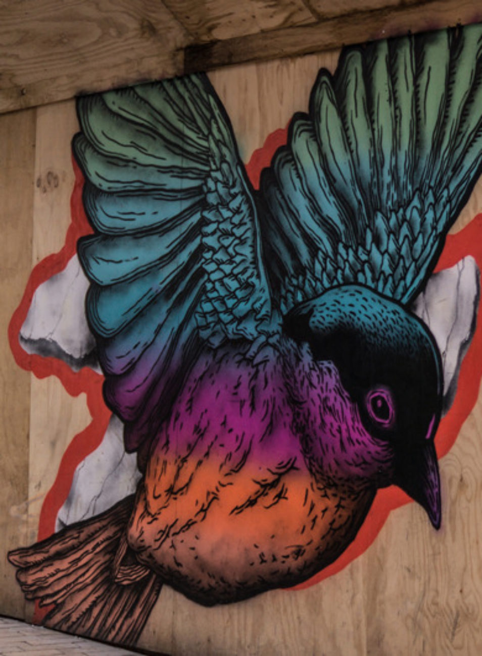 Detail Bird Graffiti Nomer 21