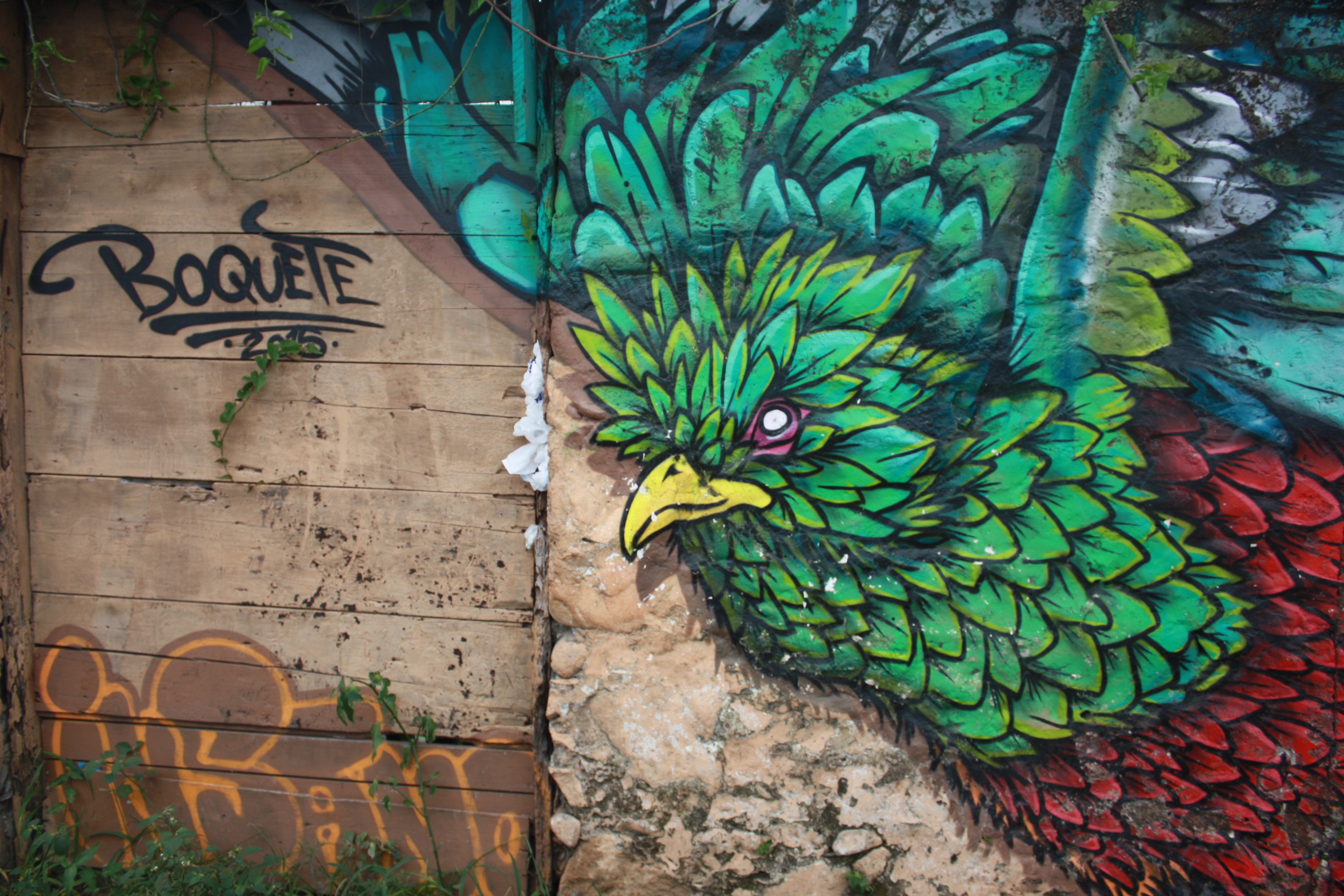 Detail Bird Graffiti Nomer 33