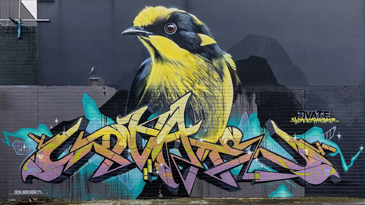 Detail Bird Graffiti Nomer 50