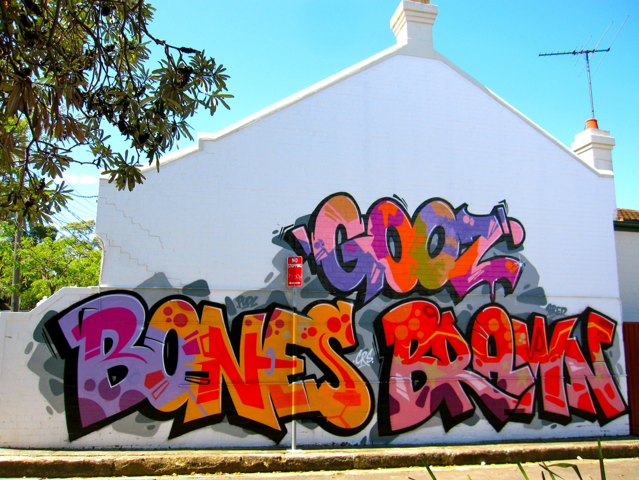 Detail Bones Gooz Graffiti Nomer 8