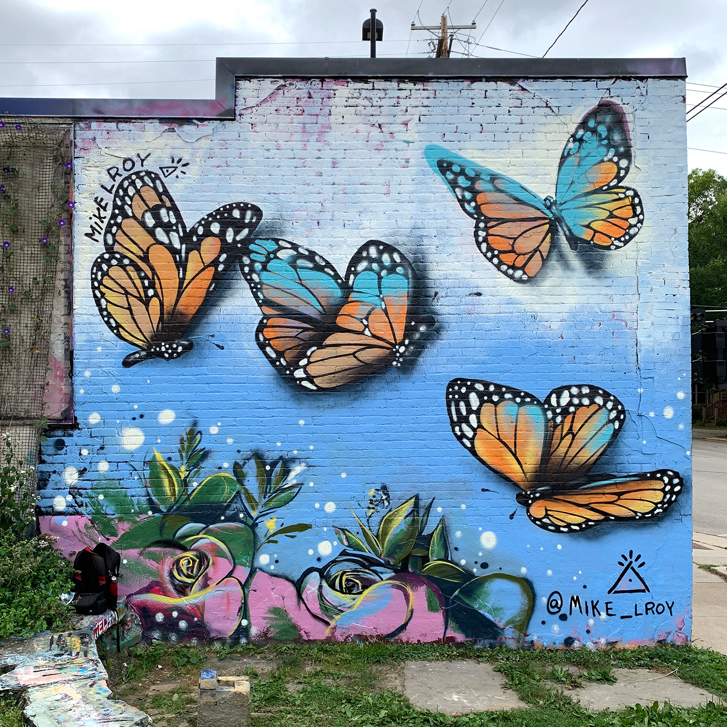 Butterfly Graffiti - KibrisPDR
