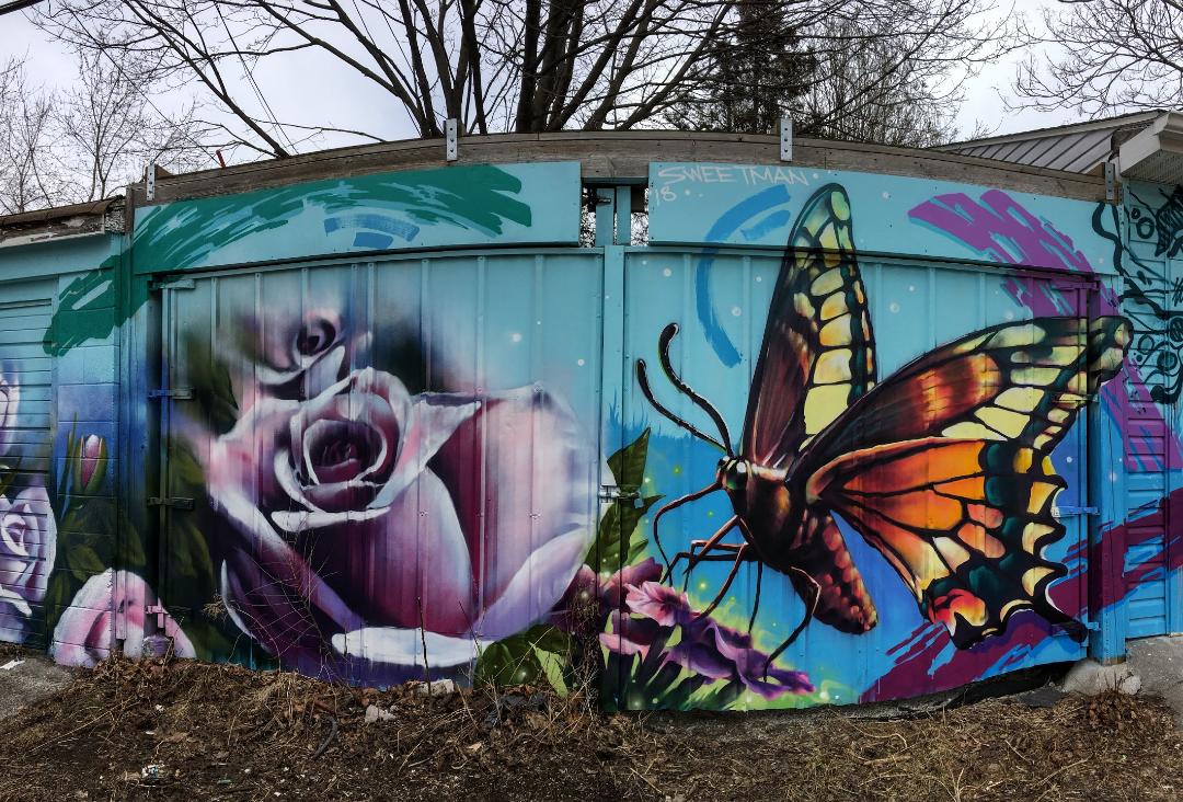 Detail Butterfly Graffiti Nomer 29