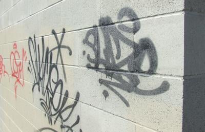 Detail Canadian Graffiti Nomer 24