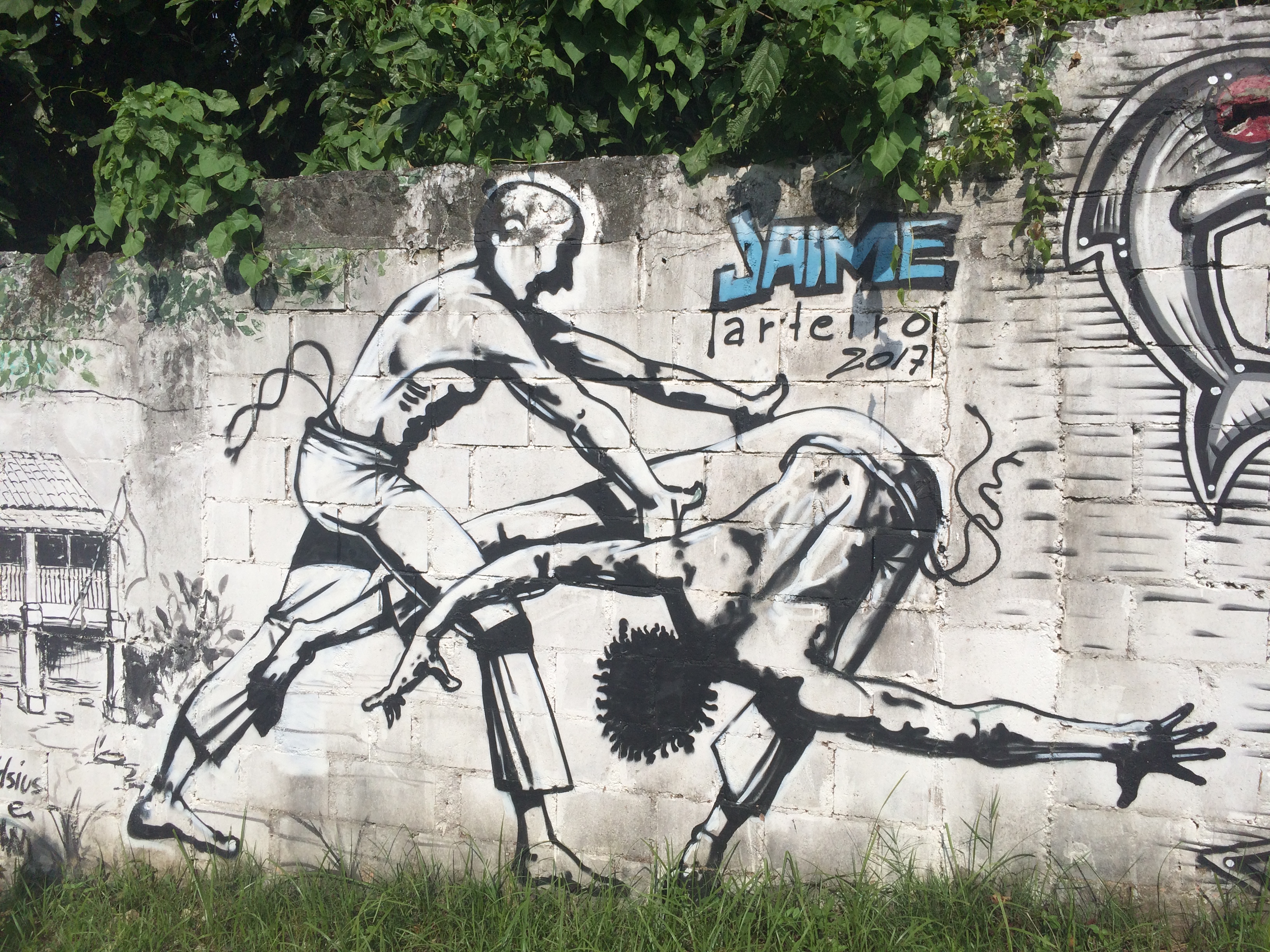 Detail Capoeira Graffiti Nomer 33