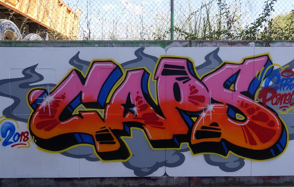 Detail Caracteristicas Del Graffiti Nomer 17