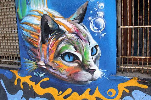 Detail Cat Untuk Graffiti Nomer 18