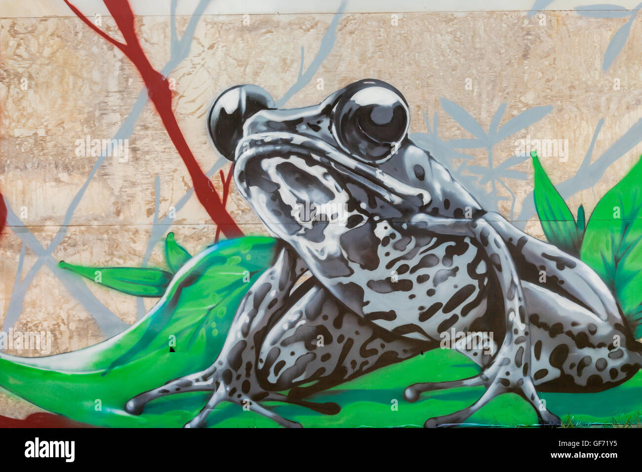 Detail Character Graffiti Frog Nomer 11