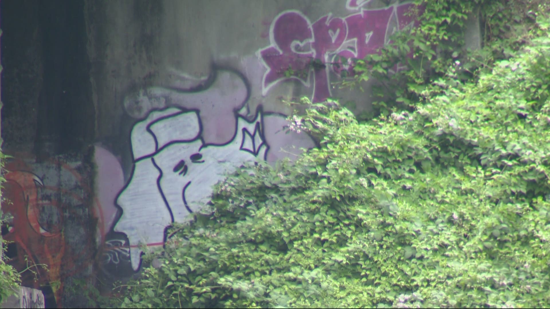 Detail Clean Graffiti Nomer 52